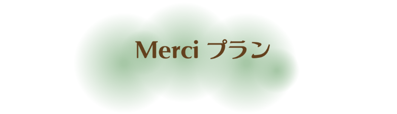 Merciプラン.png