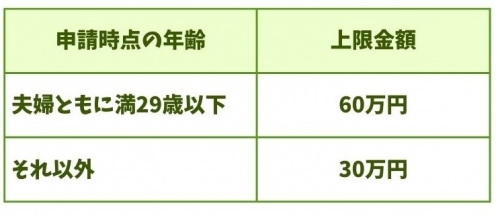 平川市すこやか住宅支援補助金 年齢.jpg